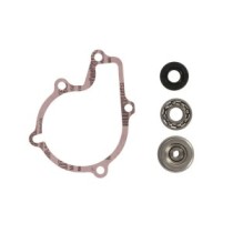 Set reparatie, pompa apa WINDEROSA