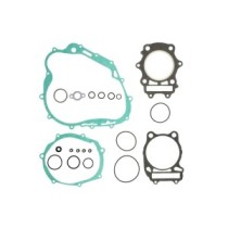 Set garnituri complet, motor WINDEROSA