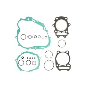 Set garnituri complet, motor WINDEROSA