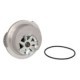 Pompa apa SKF OPEL Astra F / G Corsa B 1.4 16V / 1.6 16V 23 dinti mecanic metal