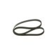 Curea transmisie cu caneluri BOSCH 6PK1185 1185.0 mm pentru ROVER, SEAT, Landrover, compatibil cu BMW
