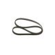 Curea transmisie cu caneluri BOSCH 6PK1185 1185.0 mm pentru ROVER, SEAT, Landrover, compatibil cu BMW