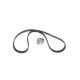 Set curea de distributie BOSCH (curea + pinion) pentru DAEWOO BROUGHAM, LEGANZA; OPEL ASTRA F, CALIBRA A, CORSA B, TIGRA 1.4-2.0 02.83-04.04