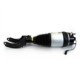 Brat arc pneumatic ARNOTT EUROPE Air module front L PORSCHE CAYENNE VW TOUAREG 3.0D-4.8 01.10