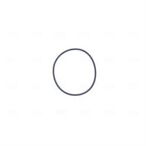 Carcasa clapeta NISSENS