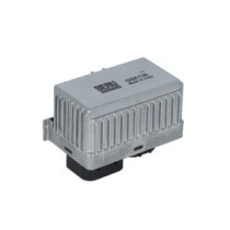 Indicator bujie incandescenta BORGWARNER (BERU)