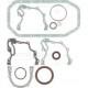 Set garnituri motor carter REINZ pentru SEAT CORDOBA, CORDOBA VARIO, IBIZA II, TERRA, VW GOLF II, GOLF III, JETTA II, POLO, POLO CLASSIC