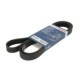 Curea transmisie cu caneluri BOSCH Multi-V-belt 6PK1836 1836.0 mm 6 nervuri
