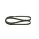 Curea transmisie cu caneluri BOSCH 5PK1135 1135.0 mm CITROEN XM / XM Break 2.0
