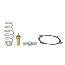 Termostat,lichid racire NRF