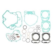 Set garnituri complet, motor WINDEROSA
