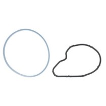 Garnitura, pompa vacuum AKUSAN