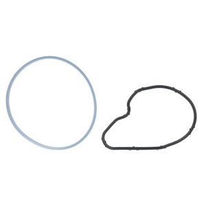 Garnitura, pompa vacuum AKUSAN