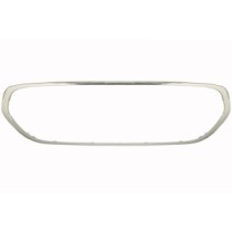 Rama, grila radiator BLIC