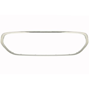 Rama, grila radiator BLIC