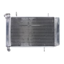 Radiator, racire motor 4 RIDE