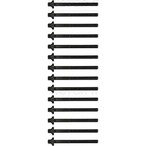 Set surub chiulasa REINZ