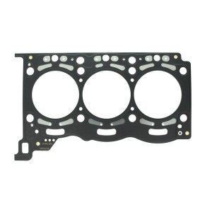 Garnitura chiulasa REINZ