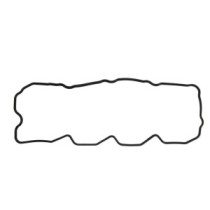 Garnitura, capac supape REINZ