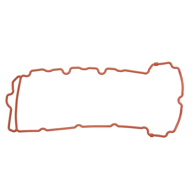 Garnitura, capac supape REINZ