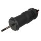 Amortizor suspensie cabina MONROE Spate pentru SCANIA 4 DC11.01-DT12.08 05.95-04.08, lungime 306.0 mm, tip ulei, sistem bitubular