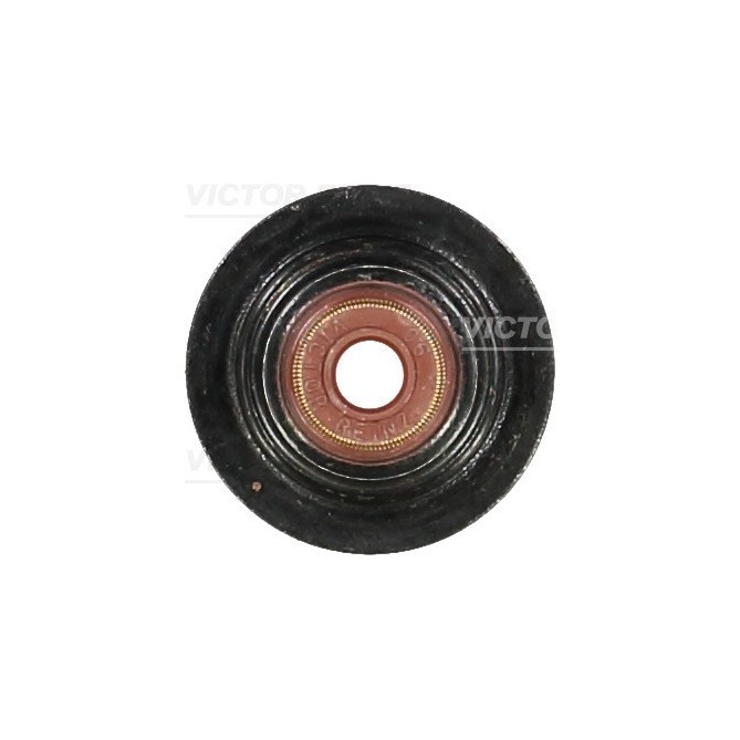 Etansare, supape REINZ