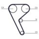 Curea de distributie CONTITECH pentru ALFA ROMEO 159, 4C, 4C SPIDER, BRERA, GIULIETTA, SPIDER, LANCIA DELTA III 1.8