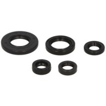 Set garnituri pentru motor WINDEROSA