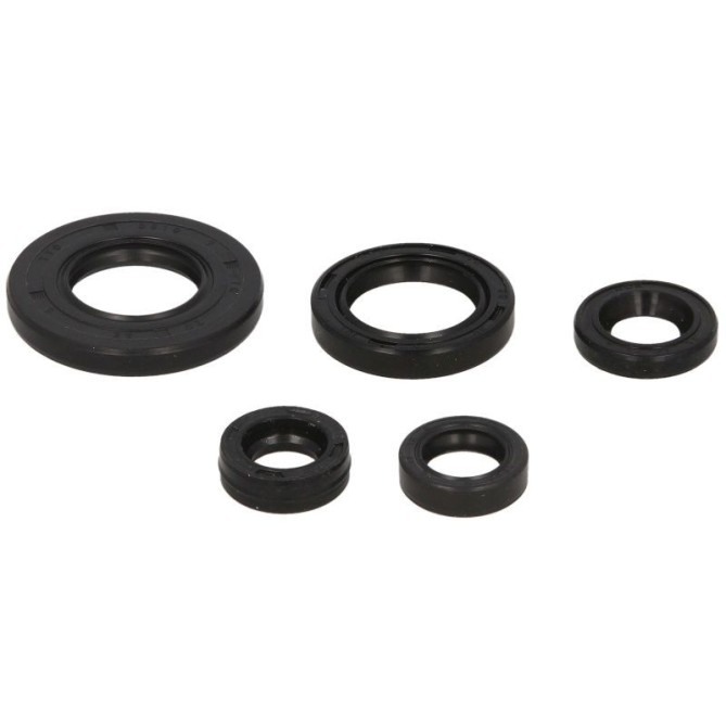 Set garnituri pentru motor WINDEROSA