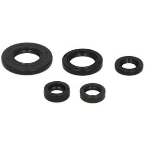 Set garnituri pentru motor WINDEROSA