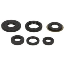 Set garnituri pentru motor WINDEROSA