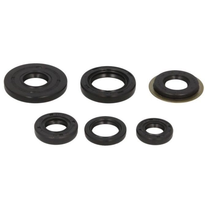 Set garnituri pentru motor WINDEROSA