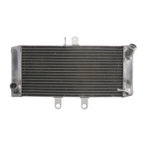 Radiator, racire motor 4 RIDE