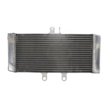Radiator, racire motor 4 RIDE