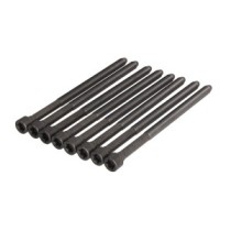 Set surub chiulasa REINZ