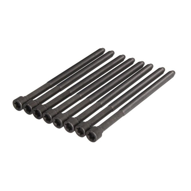 Set surub chiulasa REINZ