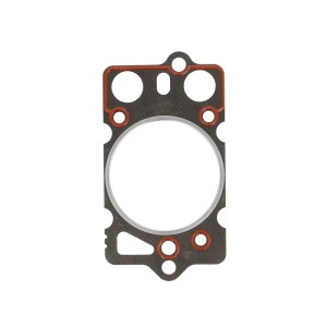 Garnitura chiulasa REINZ