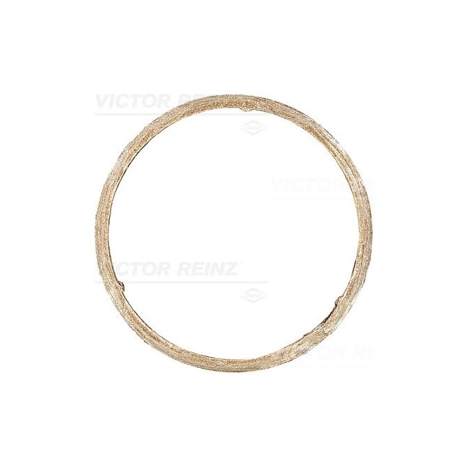 Set Garnituri, Sistem de esapament REINZ