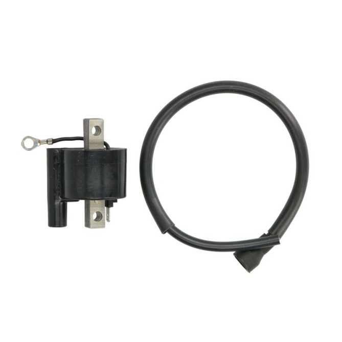 Bobina de inductie DZE