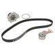 Set pompa apă + curea dințată INA pentru FSO POLONEZ III, MG TF, MG ZR, MG ZS, MGF, ROVER 100, 200, 25 I, 400 II, 45 I 1.4/1.6/1.8