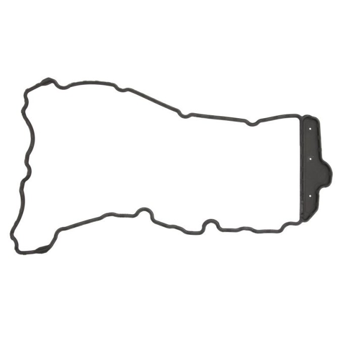 Garnitura, capac supape REINZ