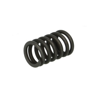 Element blocare sincron ZF