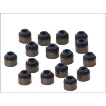 Set garnituri, ax supape REINZ