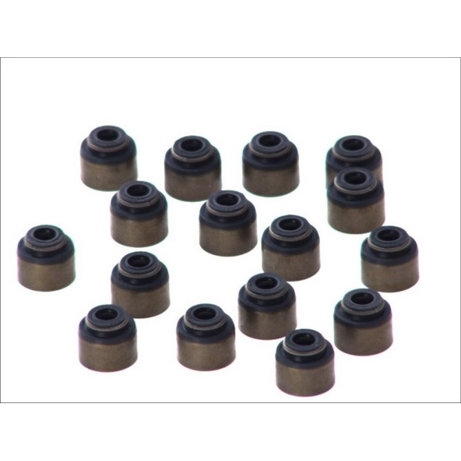 Set garnituri, ax supape REINZ