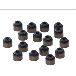 Set garnituri, ax supape REINZ