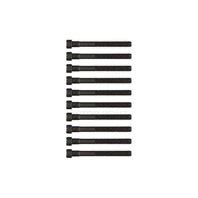 Set surub chiulasa REINZ