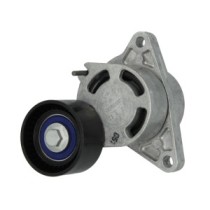 Intinzator,curea transmisie SKF