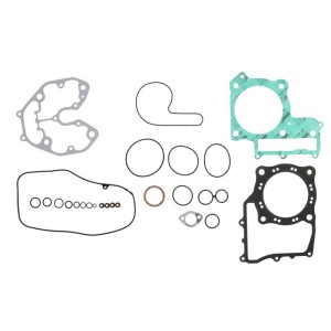 Set garnituri complet, motor WINDEROSA