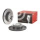 Disc frana BREMBO Fata Dreapta/Stanga 300.0 mm, 73.0 mm inaltime, 22.0 mm grosime, pentru BMW 1 (F20, F21), 3 (F30, F80, F31), 4 (F32, F82)