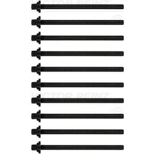 Set surub chiulasa REINZ